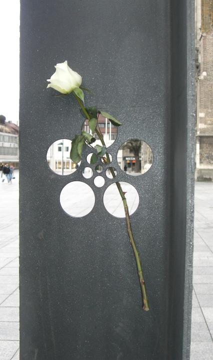 Eine weiße Rose an der Gedenkstele der Weißen Rose auf dem Münsterplatz