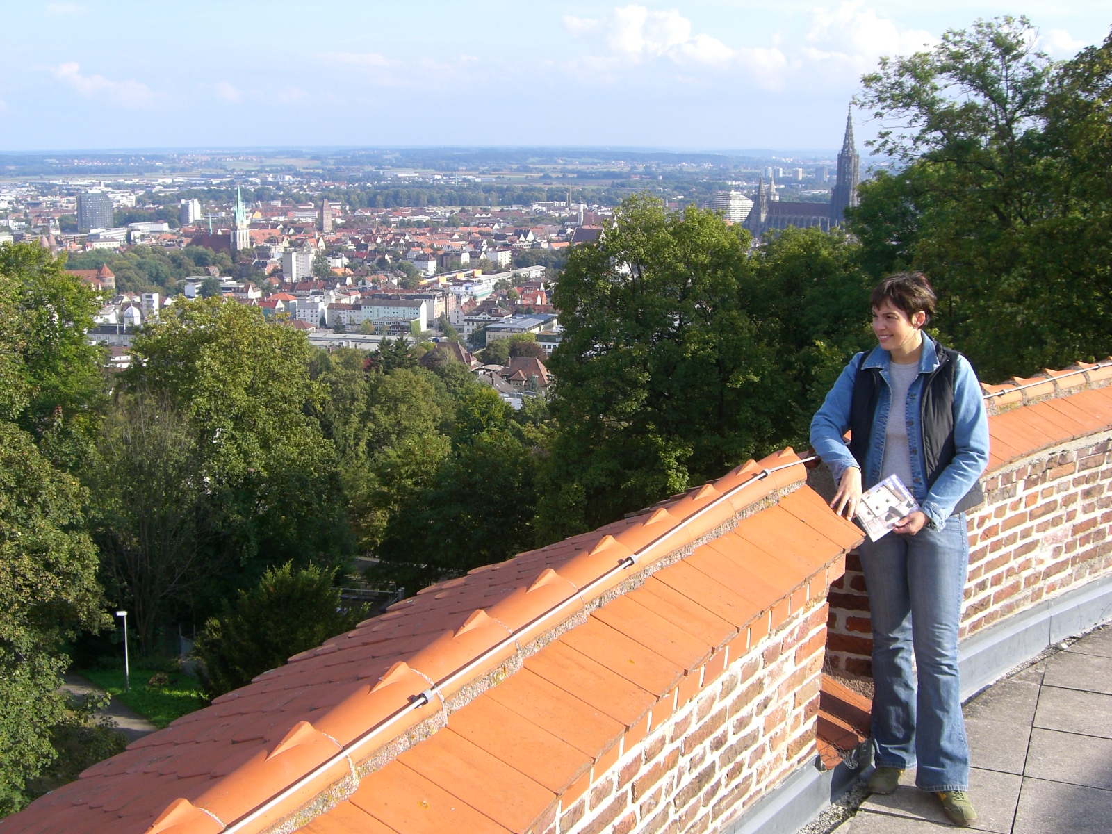 Blick von der Wilhelmsburg auf die Stadt